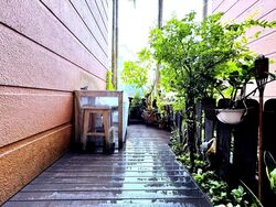 Astoria Park (D14), Condominium #532250081